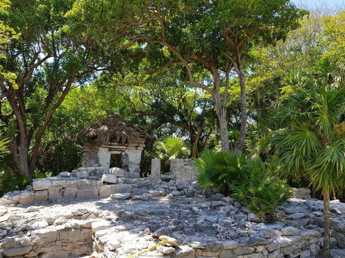 Amate 3 Lägenhet Playa del Carmen Exteriör bild