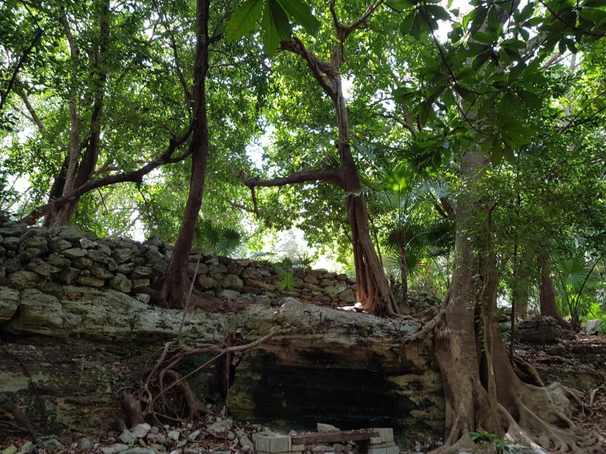 Amate 3 Lägenhet Playa del Carmen Exteriör bild